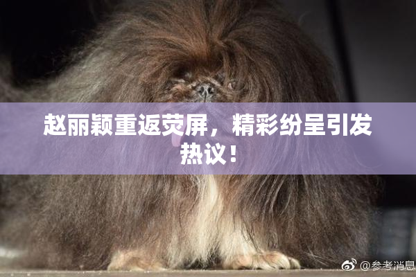 赵丽颖重返荧屏，精彩纷呈引发热议！