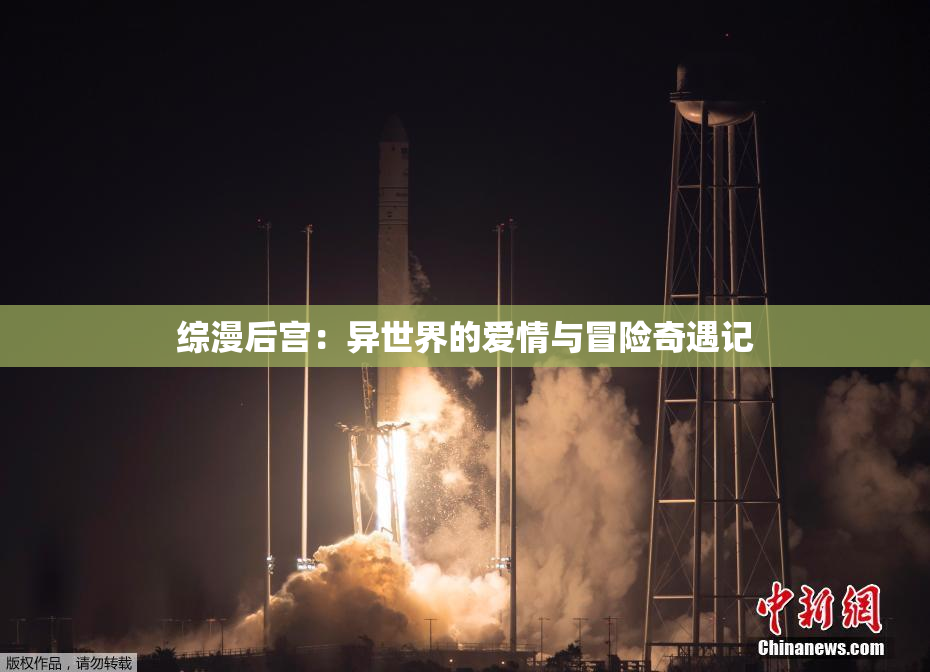 综漫后宫：异世界的爱情与冒险奇遇记