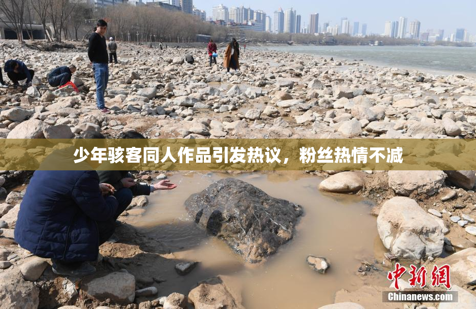 少年骇客同人作品引发热议，粉丝热情不减