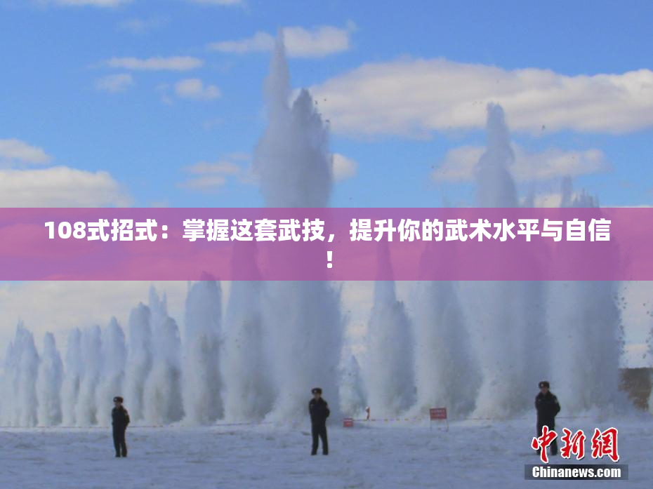 108式招式：掌握这套武技，提升你的武术水平与自信！