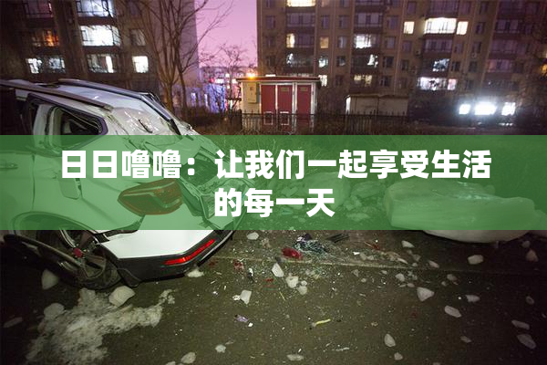 日日噜噜：让我们一起享受生活的每一天