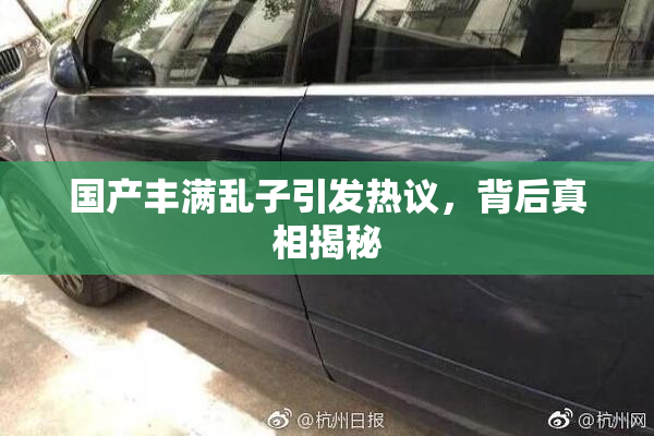 国产丰满乱子引发热议，背后真相揭秘
