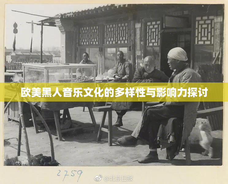 欧美黑人音乐文化的多样性与影响力探讨