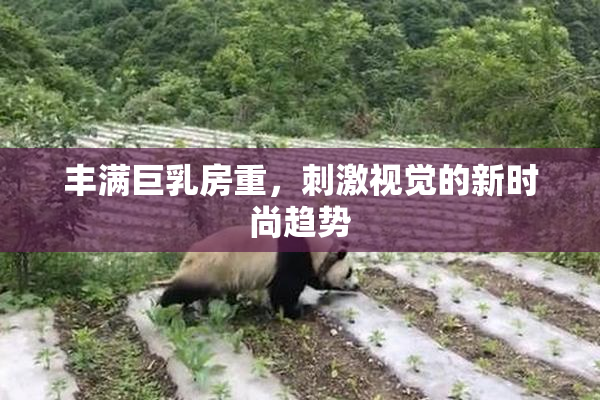 丰满巨乳房重，刺激视觉的新时尚趋势