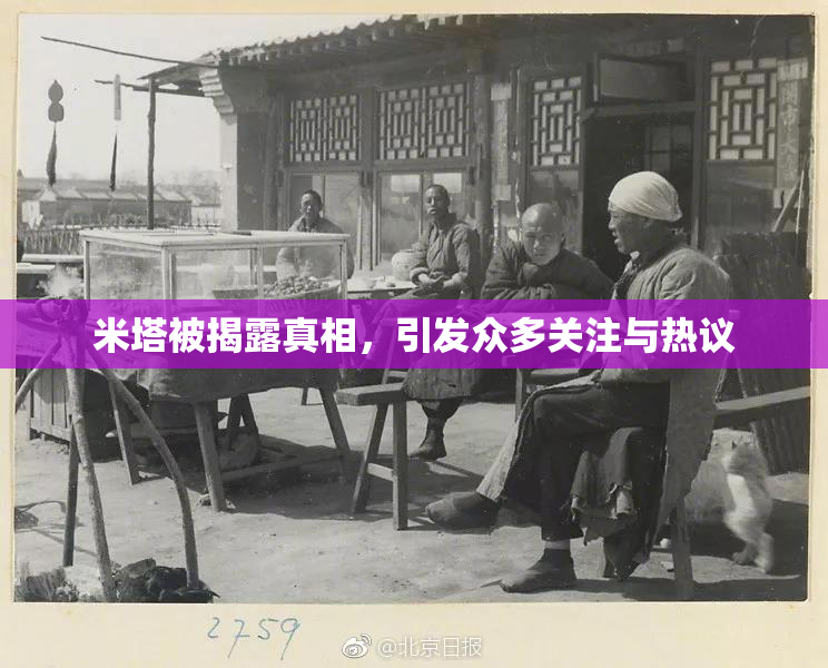 米塔被揭露真相，引发众多关注与热议