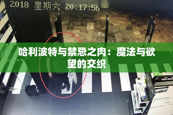 哈利波特与禁忌之肉：魔法与欲望的交织