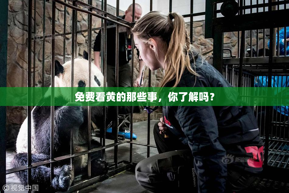 免费看黄的那些事，你了解吗？