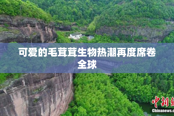 可爱的毛茸茸生物热潮再度席卷全球