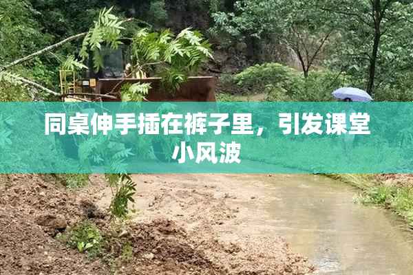 同桌伸手插在裤子里，引发课堂小风波