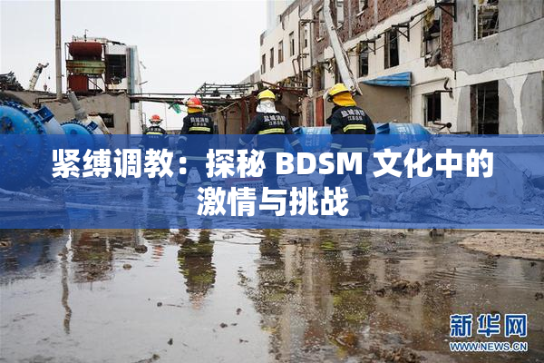 紧缚调教：探秘 BDSM 文化中的激情与挑战