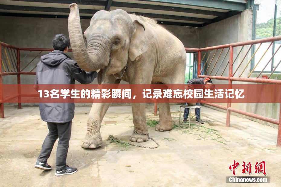 13名学生的精彩瞬间，记录难忘校园生活记忆