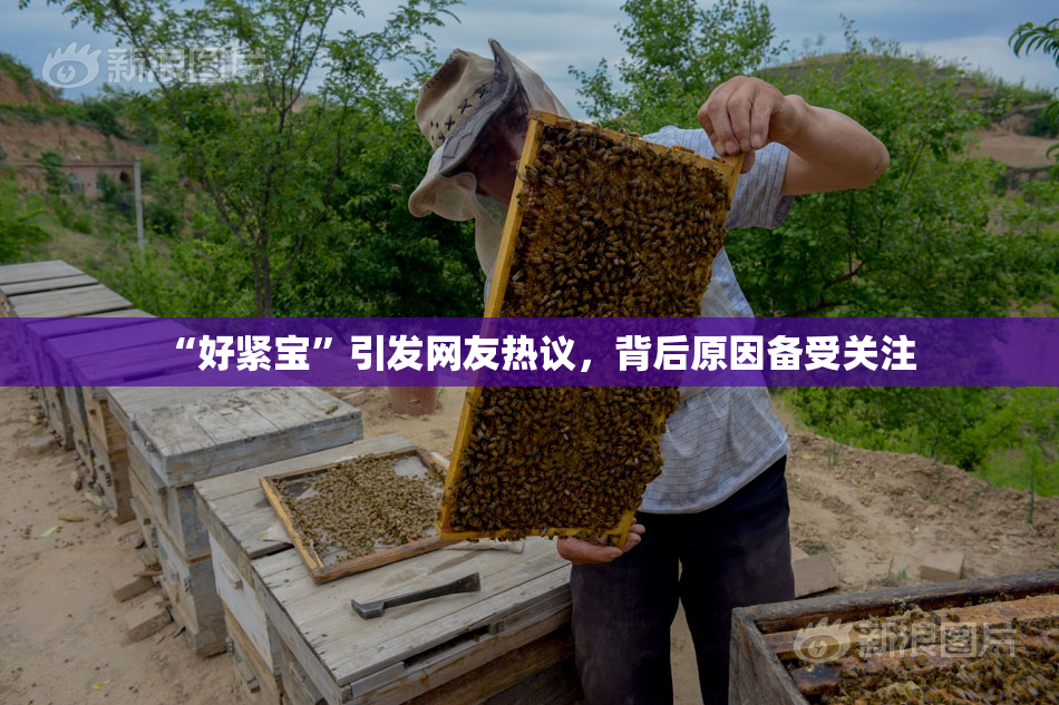 “好紧宝”引发网友热议，背后原因备受关注