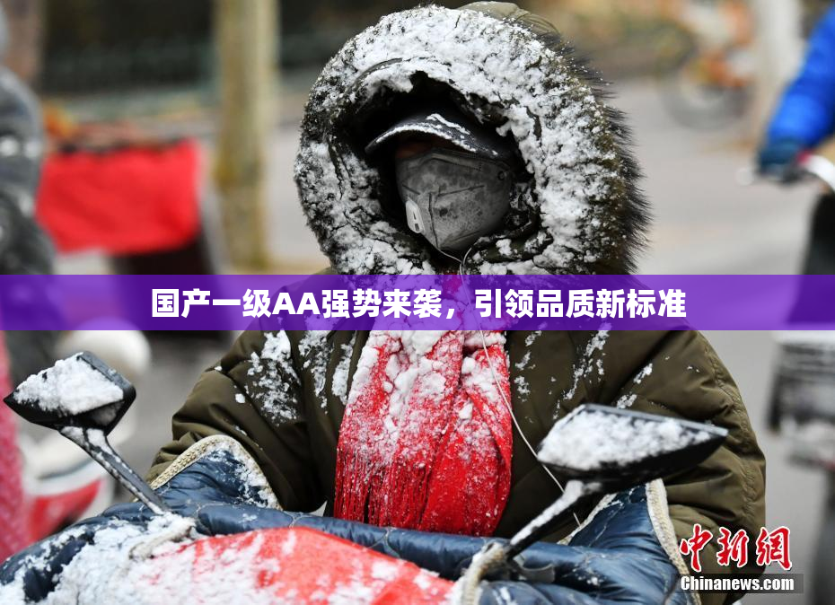 国产一级AA强势来袭，引领品质新标准