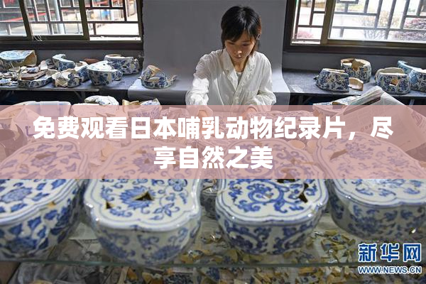 免费观看日本哺乳动物纪录片，尽享自然之美