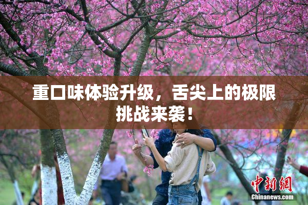 重口味体验升级，舌尖上的极限挑战来袭！