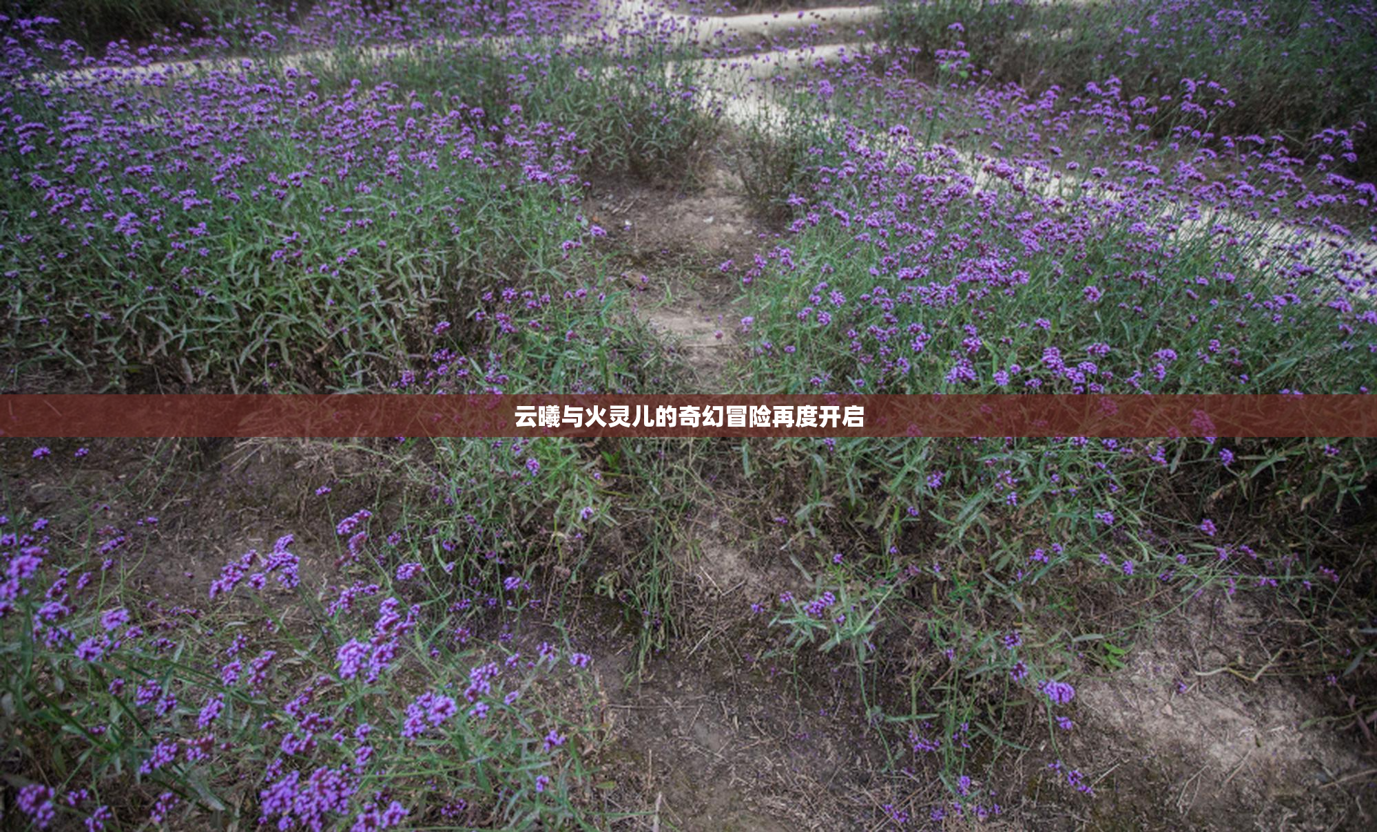 云曦与火灵儿的奇幻冒险再度开启