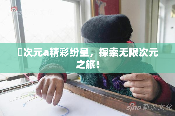 囧次元a精彩纷呈，探索无限次元之旅！