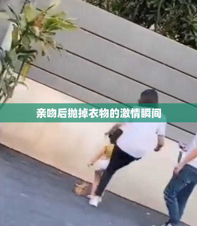 亲吻后抛掉衣物的激情瞬间