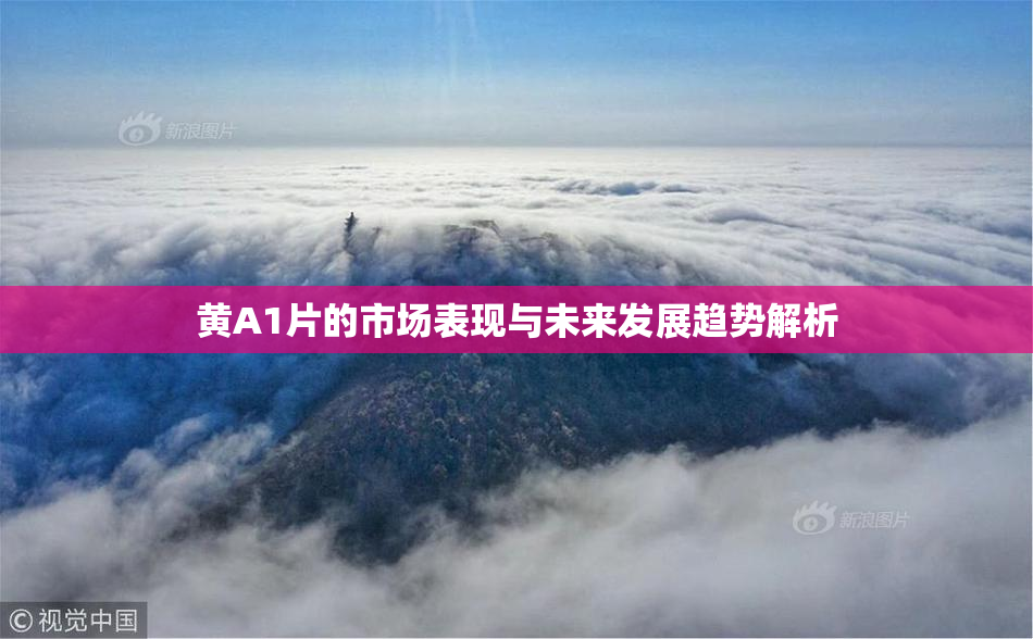 黄A1片的市场表现与未来发展趋势解析