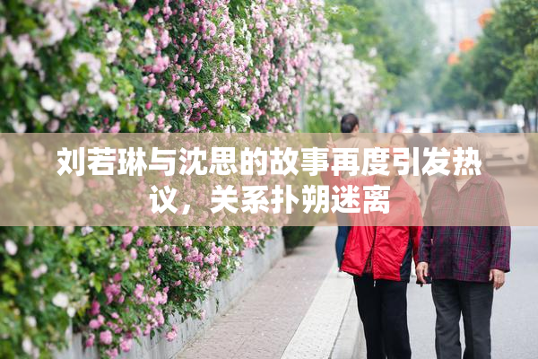 刘若琳与沈思的故事再度引发热议，关系扑朔迷离