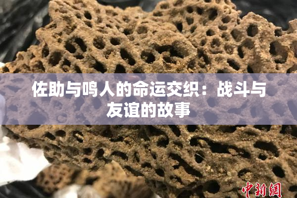 佐助与鸣人的命运交织：战斗与友谊的故事