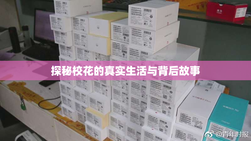 探秘校花的真实生活与背后故事