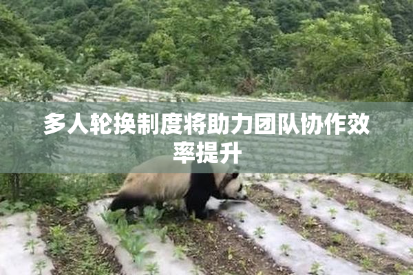 多人轮换制度将助力团队协作效率提升