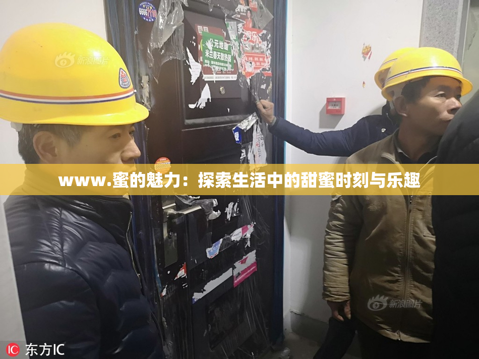 www.蜜的魅力：探索生活中的甜蜜时刻与乐趣