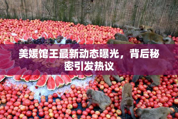美媛馆王最新动态曝光，背后秘密引发热议