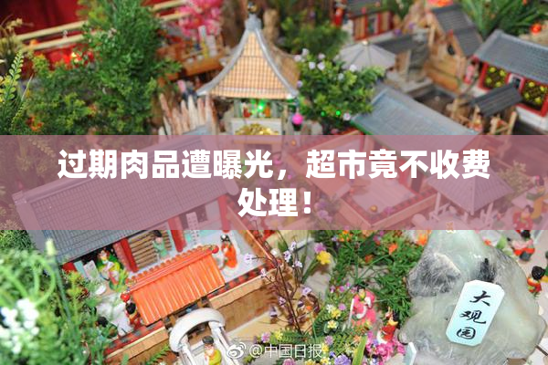 过期肉品遭曝光，超市竟不收费处理！