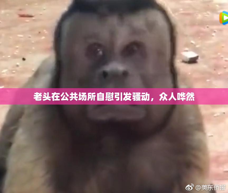 老头在公共场所自慰引发骚动，众人哗然