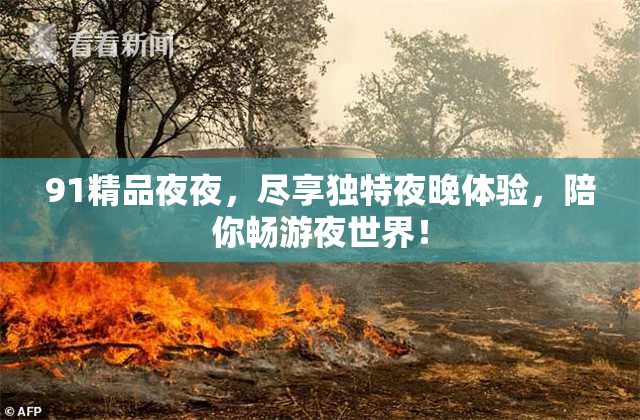 91精品夜夜，尽享独特夜晚体验，陪你畅游夜世界！