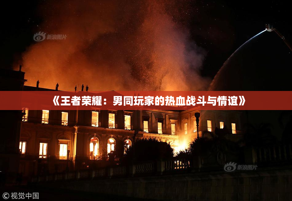 《王者荣耀：男同玩家的热血战斗与情谊》