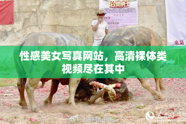 性感美女写真网站，高清裸体类视频尽在其中