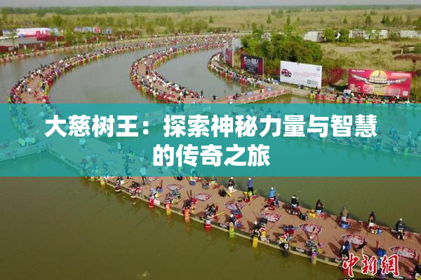 大慈树王：探索神秘力量与智慧的传奇之旅