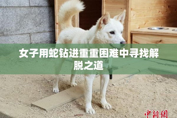 女子用蛇钻进重重困难中寻找解脱之道