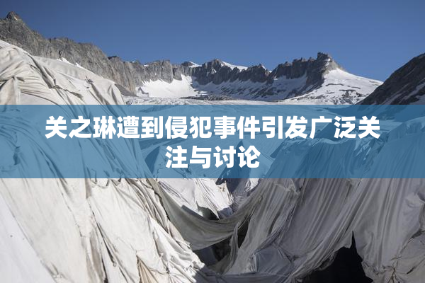 关之琳遭到侵犯事件引发广泛关注与讨论