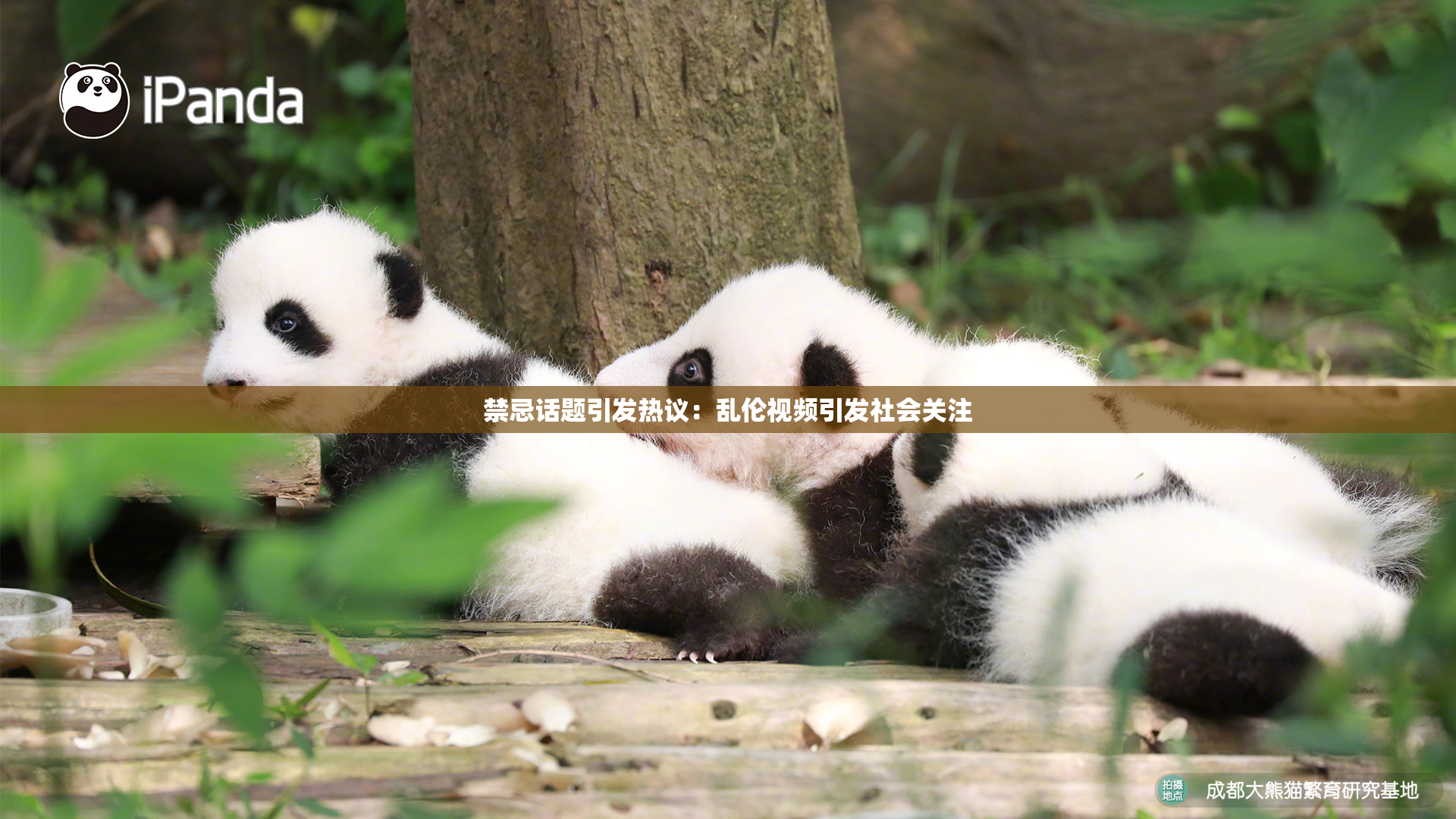 禁忌话题引发热议：乱伦视频引发社会关注