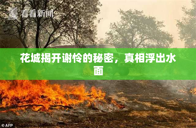 花城揭开谢怜的秘密，真相浮出水面