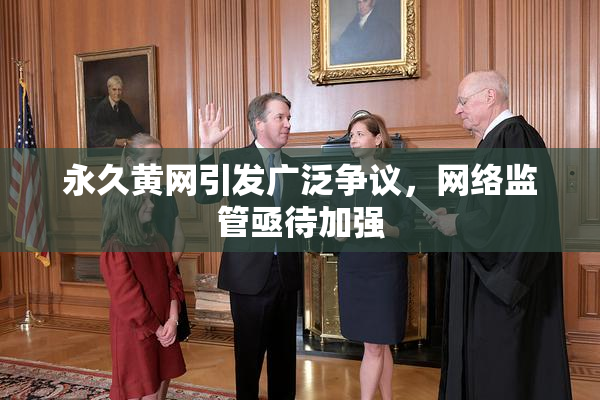 永久黄网引发广泛争议，网络监管亟待加强
