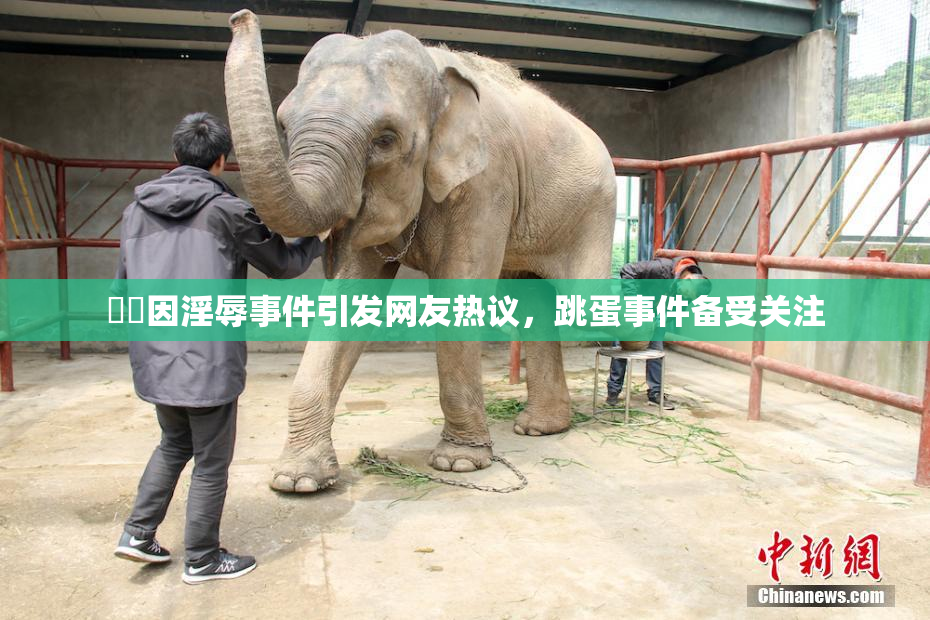 妺妺因淫辱事件引发网友热议，跳蛋事件备受关注