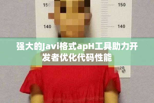 强大的Javi格式apH工具助力开发者优化代码性能