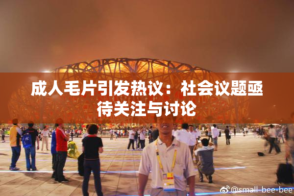 成人毛片引发热议：社会议题亟待关注与讨论