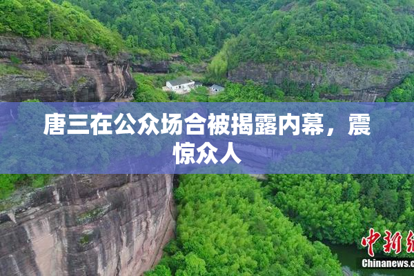 唐三在公众场合被揭露内幕，震惊众人