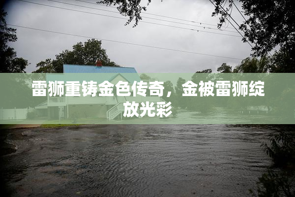 雷狮重铸金色传奇，金被雷狮绽放光彩