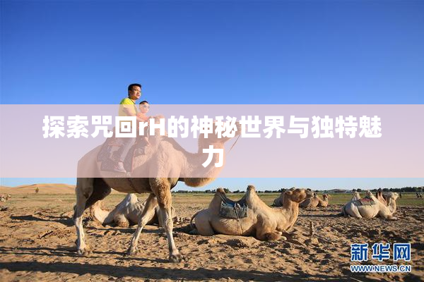 探索咒回rH的神秘世界与独特魅力