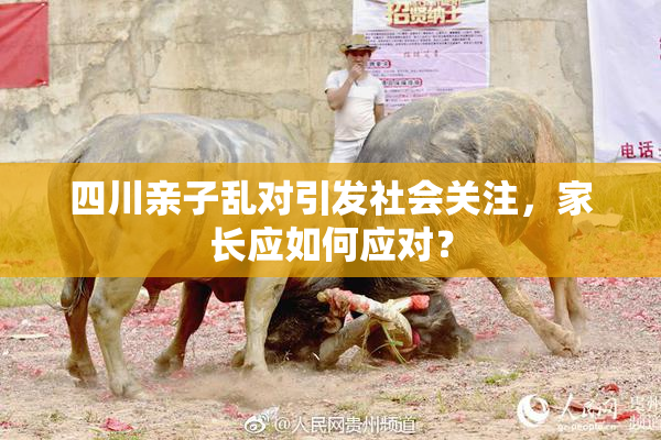 四川亲子乱对引发社会关注，家长应如何应对？