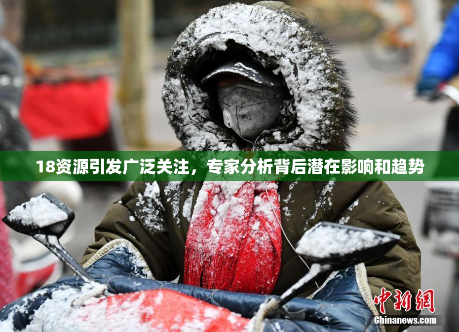 18资源引发广泛关注，专家分析背后潜在影响和趋势