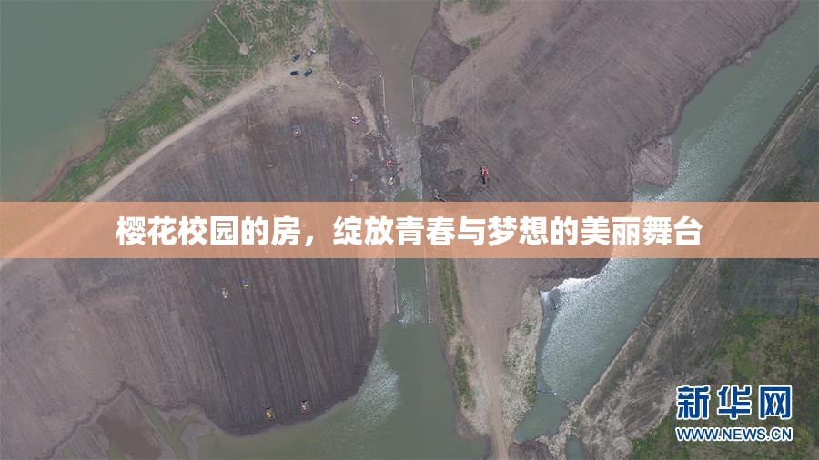 樱花校园的房，绽放青春与梦想的美丽舞台