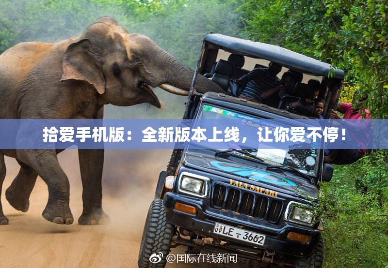 拾爱手机版：全新版本上线，让你爱不停！